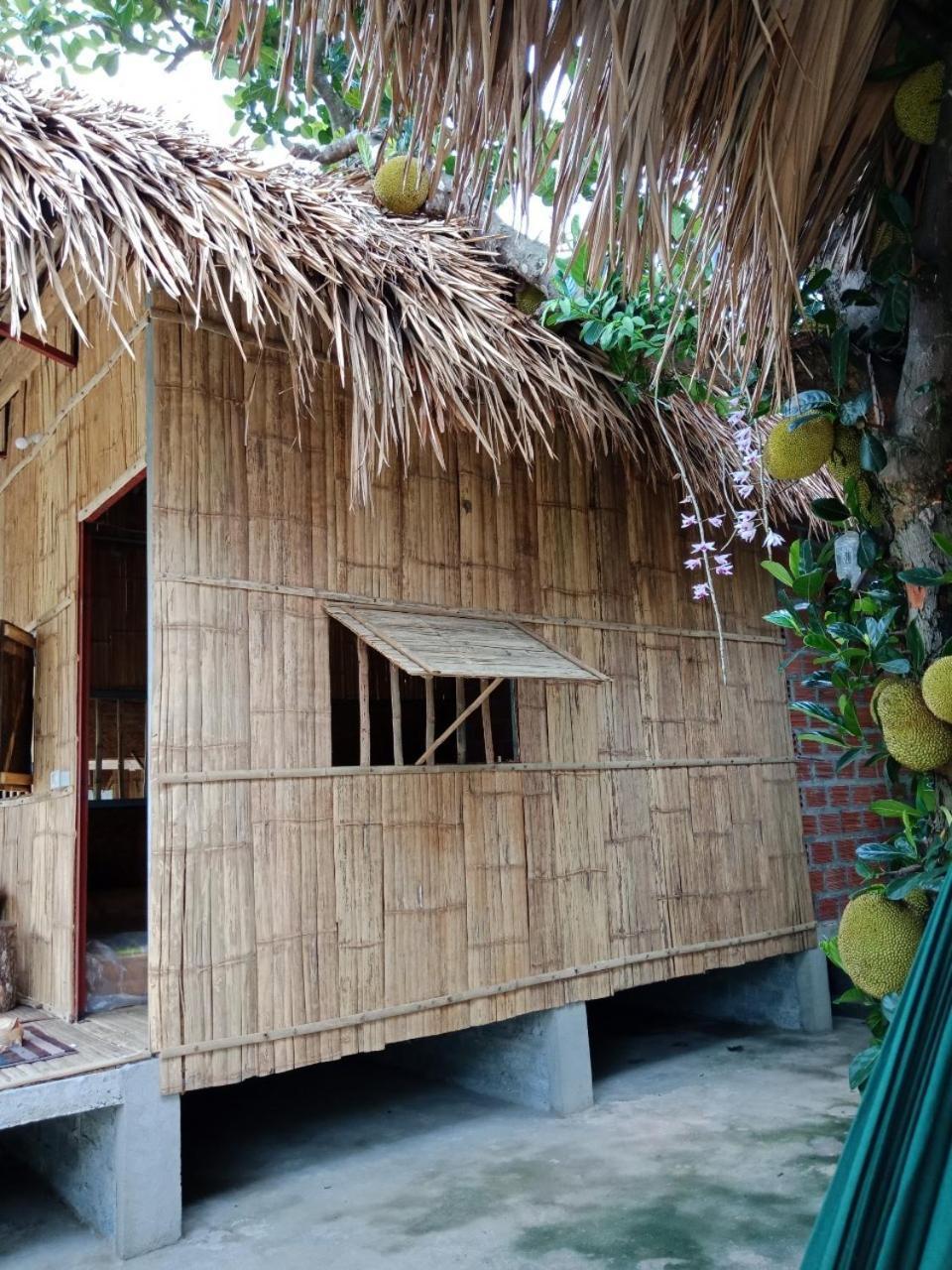 Cuc Phuong Hao Tham Homestay Hotel Nho Quan 外观 照片